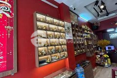 Mặt tiền ni sư huỳnh liên 47m2 chỉ 11 tỷ nhà đang kinh doanh