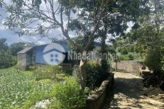 Đất nền mộc châu vị trí siêu vip, đón sóng cao tốc hoà bình mộc châu