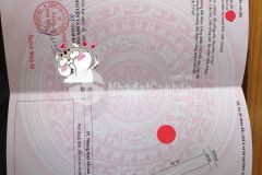 Đất diện tích dài đẹp xây nhà vườn cách phố 7km