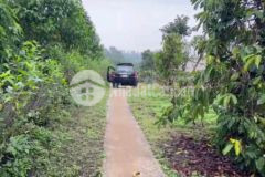 Bán đất sào rộng hơn 6000m2 thuộc xã tân hà,lô đất rội có view đẹp gía tốt thương lượng.lhxem đất