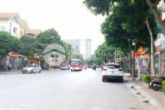 Bán nhà mat pho lô góc 3 thoáng la thành, kinh doanh cực tốt, 45m2, 9.8 tỷ