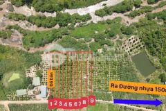 Đất cư mgar,trong kdc, cách nhựa liên xã 100m, đất màu mỡ sẵn cà fe, tiêu, chỉ 199 tr