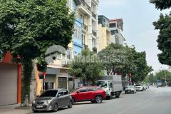 Bán nhà mặt phố thạch bàn, long biên, 70m2, mt5.5m, phân lô, vỉa hè, kinh doanh, ô tô