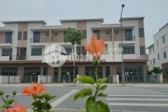 Khach hàng thông thái lựa chọn mua giá đáy thị trường ở centa