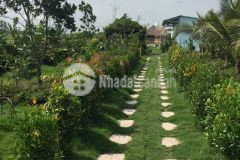 Chính chủ kẹt tiền bán nhà vườn thủ thừa, long an 1000m2 đường ô tô 7 chỗ giá 2.2 tỷ thương lượng