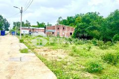 5 lô liền kề đường 5m gần chợ lệ trạch giá tốt, chốt ngay kẻo lỡ