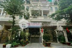 Nhà phố cityland park hills phan văn trị, p.10 5m x 20m có hầm, nhà hoàn thiện, có thang máy