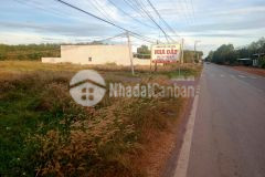 Chính chủ bán đất thị xã mới chơn thành