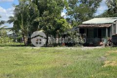 Hiện tại em có lô đất châu thành, tây ninh sổ sẳn bán giá 290 triệu