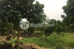 675 triệu 1066 m2 ql.13 vào 500m bình dương