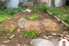 Bán đất 69,09m2 thượng phúc bắc hồng đông anh đường ô tô tránh trải nhựa, lh 0888481126.