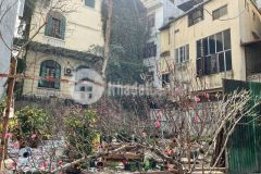 Bán đất mặt phố trần điền, lô góc, sđcc, 145m2, chỉ 34.99 tỷ