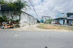 Hạ giá bán gấp lô 2 mặt tiền đường 2310 diên an chỉ 1.050tỷ