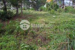 Ban đât nghi dương gân dinh i trân quang diêu p10 đa lat