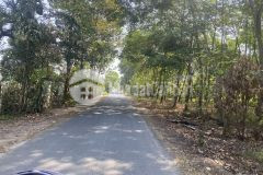 Bán đất 935m2 có 28m2 thổ cư ở nhuận đức củ chi. giá 1 tỷ 380 tl