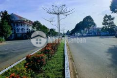 Hàng cực hiếm cặp nền mặt tiền lý thái tổ bán cặp nền 180m² đường lý thái tổ kdc hưng phú 1