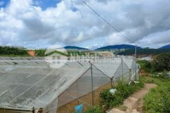 Bán 1400 m2 đất view nhìn toàn cảnh núi và đồi thông cực đẹp đường nhánh cao thắng đà lạt