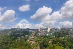 Ha gia 7 ty ban gâp đât khe sanh view đep p10 đa lat