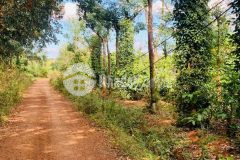 Đất cư mgar,giáp suối,ngang 9m,tiện ích đủ,ca phê,tiêu xanh tốt,sổ sẵn, 139 tr