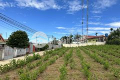 Bán đất ở mặt tiền hẻm, lý thái tổ, xã đam bri, tp bảo lộc, lâm đồng, 662m2, 4.2 tỷ, chính chủ bán