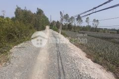 1hecta mặt tiền đường tây kênh 17,thị trấn mỹ phước,tân phước,tiền giang