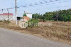 Bị nợ xã hội đen nên cần bán gấp diện tích hơn 200m2 thổ cư 100m2 chơn thành