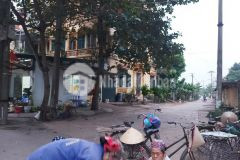 Chính chủ bán đất yên mỹ, sổ đỏ 392m2, mặt tiền 15m, 750 triệu