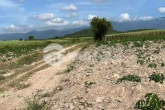 Đất ninh xuân ninh hòa đường qh 16m ngang 93m giá chỉ 750 triệu