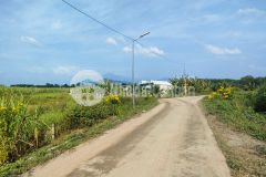 Bán đất thôn 5 diên đồng cách tỉnh lộ 8 chỉ 200m