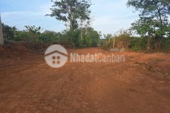 Rẫy cần bán 7000m2 tại iagrai giá rẻ 4xxtr