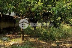 Đất nền mộc châu 1066m chủ nhà bán rẻ nằm trong khu dân cư đông đúc