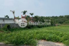 Bán 13000m2 đất tại bàu chinh, châu đức, brvt giá chỉ 2.5 triệum2