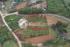 Bán 3699m đất lương sơn giá chỉ 1trm2