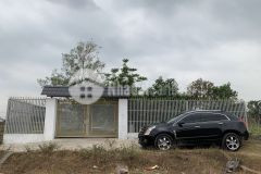 Bán nhà vườn 1.000m²,có nhà, ao cá,vườn trái cây đủ loại bình chánh