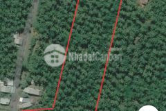 Bán nhanh đất diện tích lớn địa thế đẹp