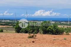 266 triệusổ 2200m2 bán cắt lỗ, có đầy đủ tiềm năng tăng giá. liên hệ 0919 626 750