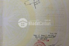 Cần bán đất đường 7,5m nguyễn văn trỗi gần ủy ban nhân dân huyện duy xuyên