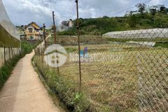 Đất diện tích lớn mặt tiền đa phú p7 đà lạt