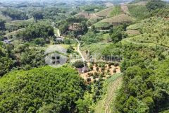 Đất đà lạt view đẹp giá chỉ 4,5 tỷ có ngay 4429m2