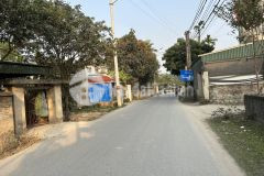 Bán 336m đất bám đường nhựa tại lương sơn giá chỉ 1.65 tỷ