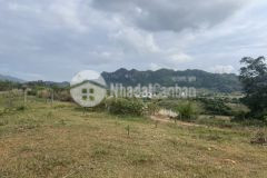 Đất nền mộc châu vị trí siêu vip, giá rẻ nhất tại thị trường bđs mộc châu