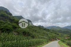 Cần bán gấp lô đất tại cán tỷ, quản bạ, hà giang