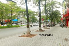 Bán nhà phố linh lang quận ba đình. phân lô oto tránh, 2 mặt ngõ, kinh doanh. 65m2x5t. giá 13.5tỷ