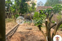 Bán gấp đất 66,9m2 thọ đa kim nỗ đông anh ô tô nhỉnh 3 tỷ, 0888481126.