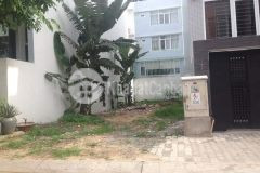 Ngộp vốn cần ra gấp. cần đước long an. 11 triệu m2.