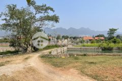 Mảnh đất 3000m2 có 400m2 thổ cư view đẹp nhất mường sang