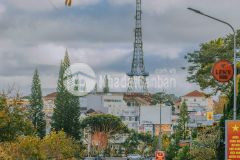 Cần bán đất view đẹp, 2100m2, chỉ 3 tỷ, đà lạt