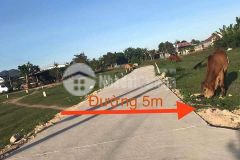 920 triệu lô góc ngay uỷ ban xã diên lạc, đường tổ 7 8 9
