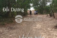 Bán đất thổ ngay sau đồi dương mặt tiền ql.sổ hồng.116m2