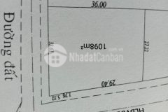 E có lô đất sào 1188m2 dài đẹp đất tại thị xã bình long, bình phước